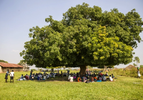 People gathering under a large tree