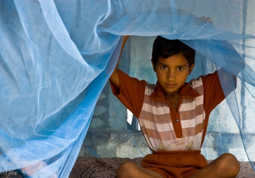 Young boy under a mosquito net
