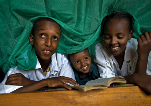 Three boys smiling under a mosquito net