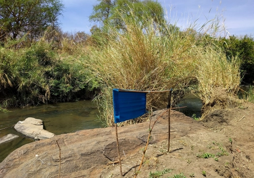 A blue piece of fabric near a river