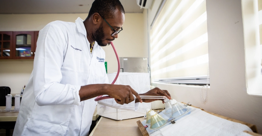 A scientist conducts a cone test