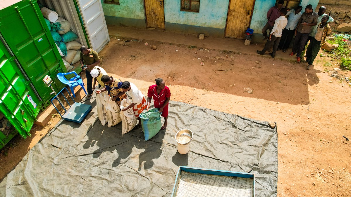 Smallholder farmers in Kenya line up to put their grains in a storage shed.