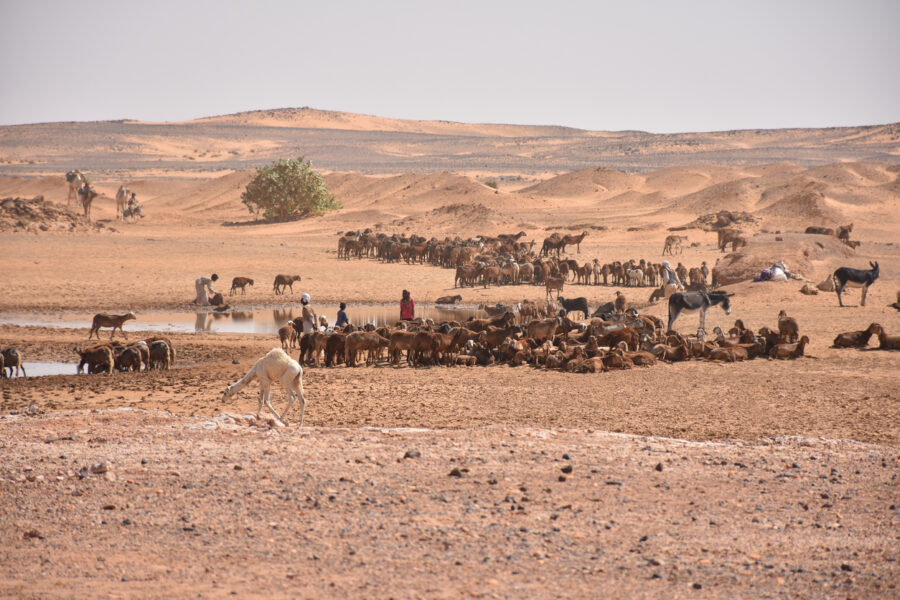 Nomads wandering a desert in Sudan